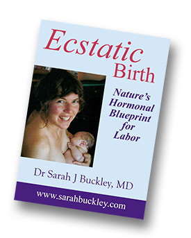 Ecstatic Birth ebook